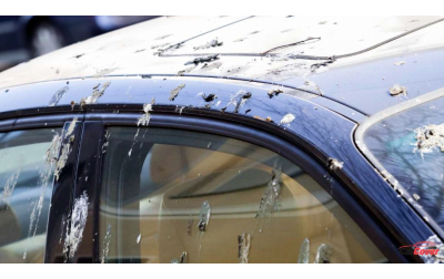 ways-easily-to-prevent-bird-droppings-on-your-car